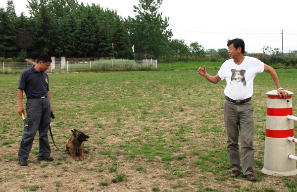 2011年5月7日下午於本会南京基地作室外场地作护卫犬技术训练及交流